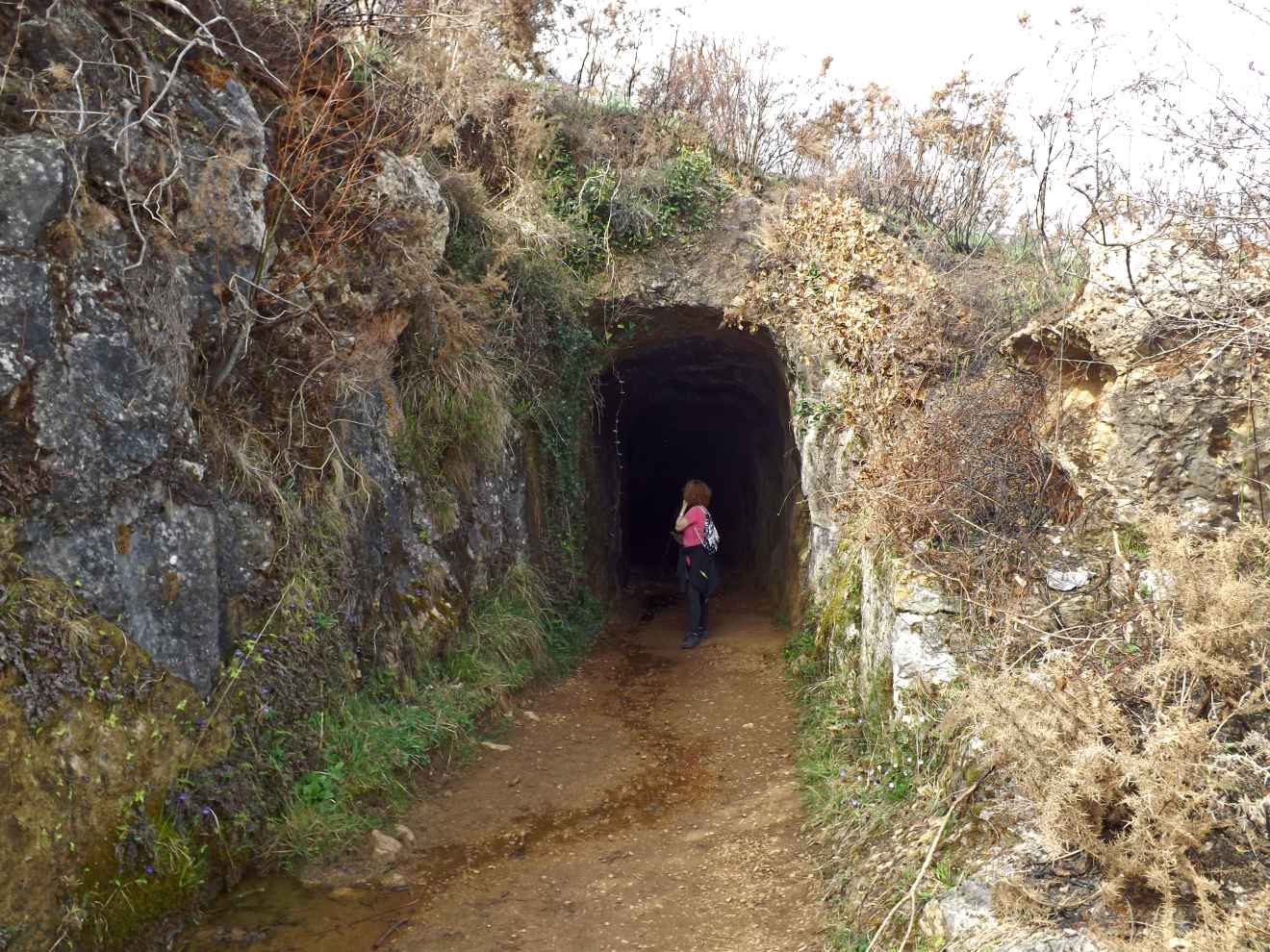 Túnel de la vía verde